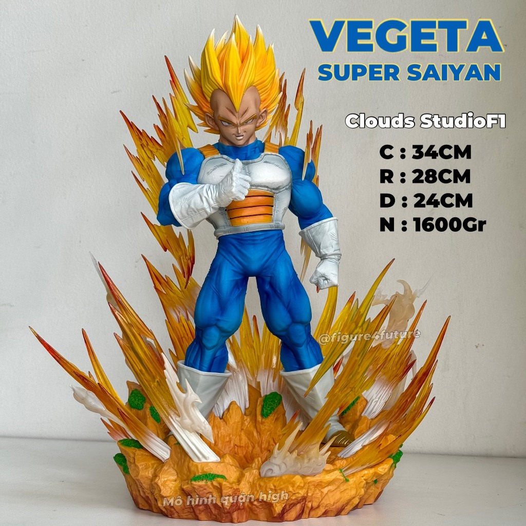 vn-11134207-7r98o-lvd1k6dccarxd4