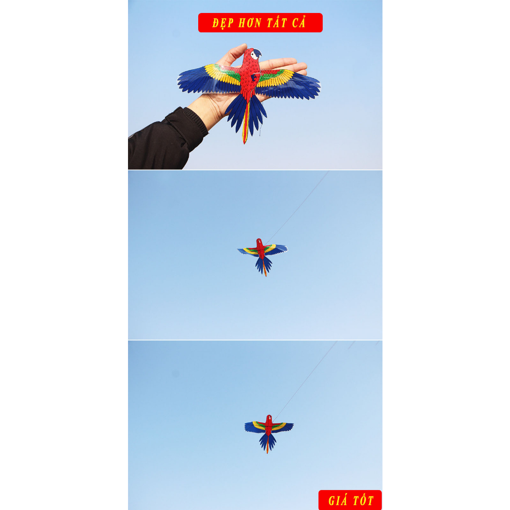 vn-11134207-7qukw-lgfdab68s0h682
