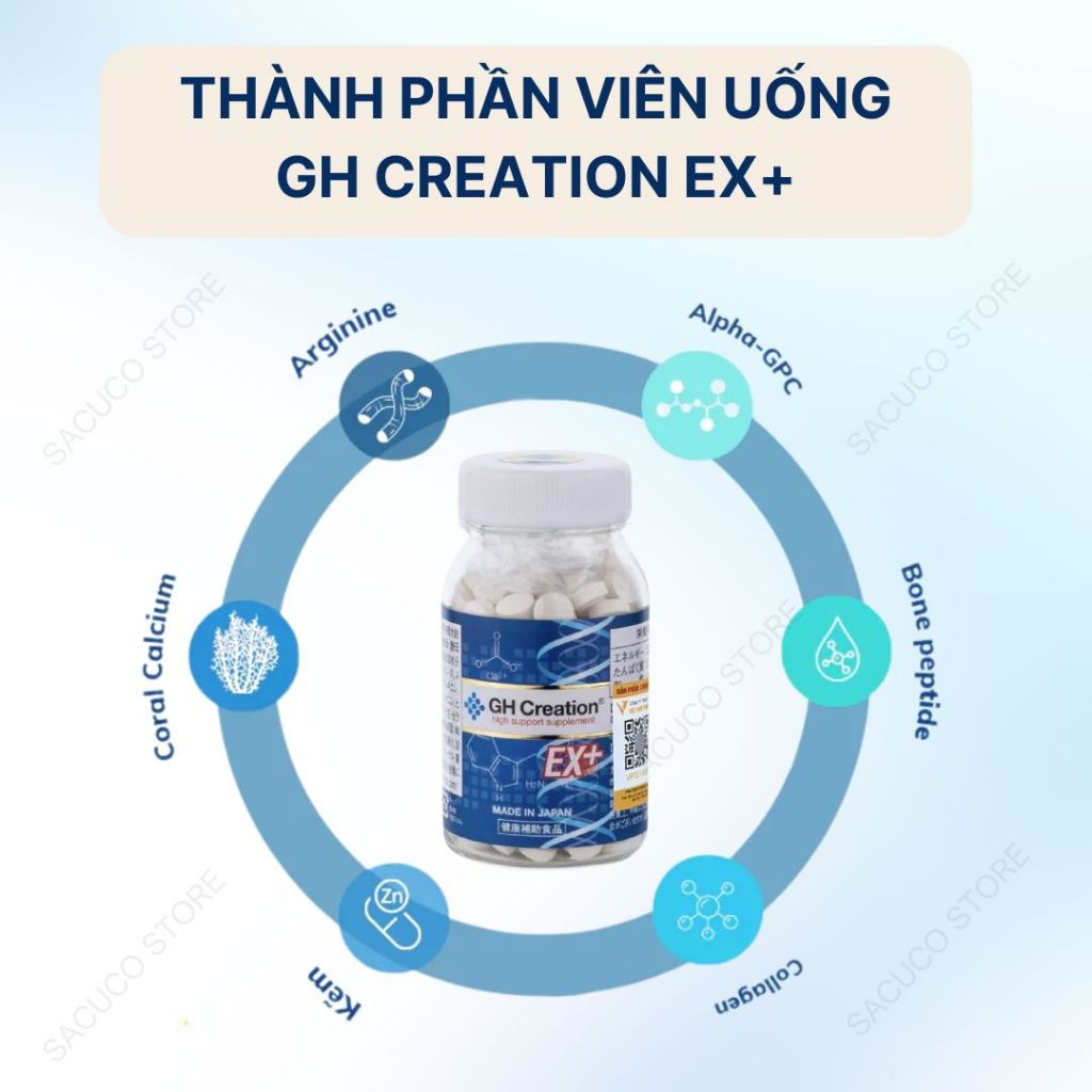 vn-11134207-7r98o-lxm2pvxx4449e8