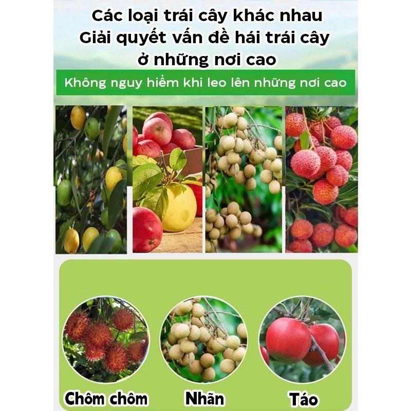 vn-11134207-7ras8-man3qmxthyhj4c