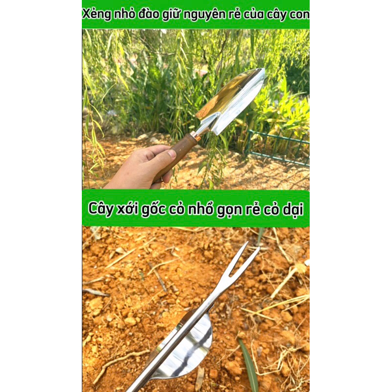 vn-11134207-7r98o-luk1j5fg36zpd5